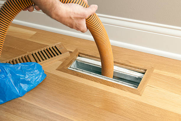 Air Duct Mold Removal in Ottawa, IL